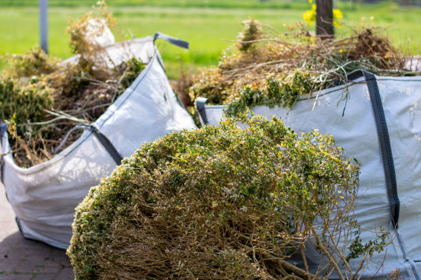 Best Shed Removal  in Crump, TN